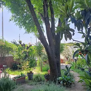 With A Garden Alloggio in famiglia Milano