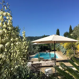 Ventena Vecchia Antico Frantoio Appartamento Montevarchi